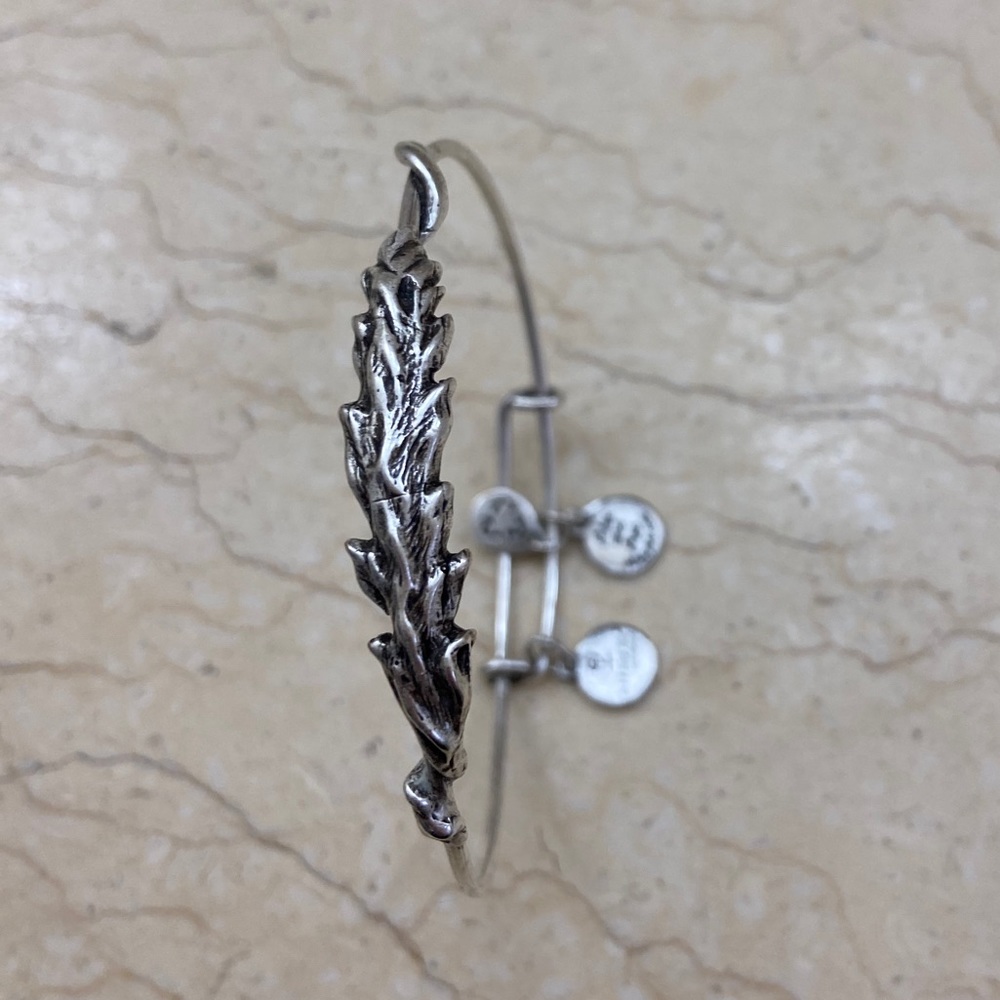 Alex and Ani Feather Wrap Bracelet